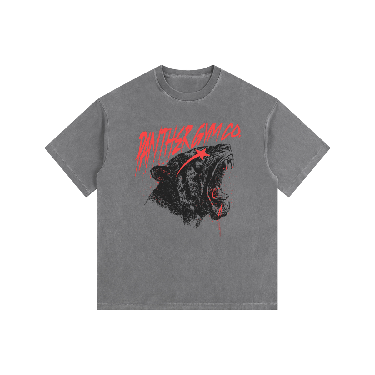 Panther Gym Co