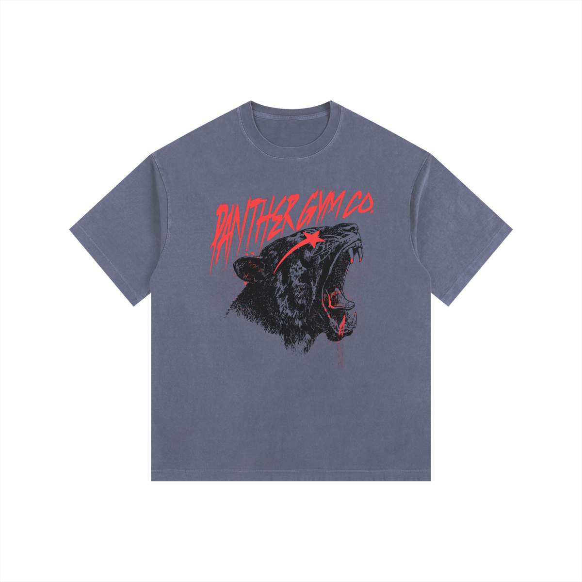Panther Gym Co