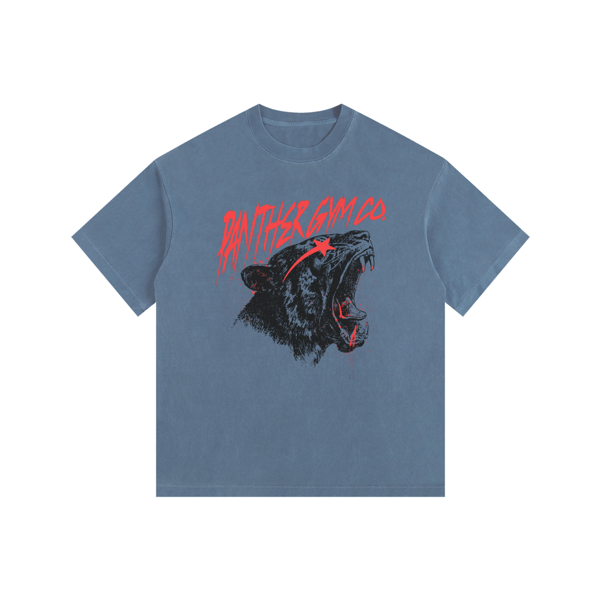 Panther Gym Co