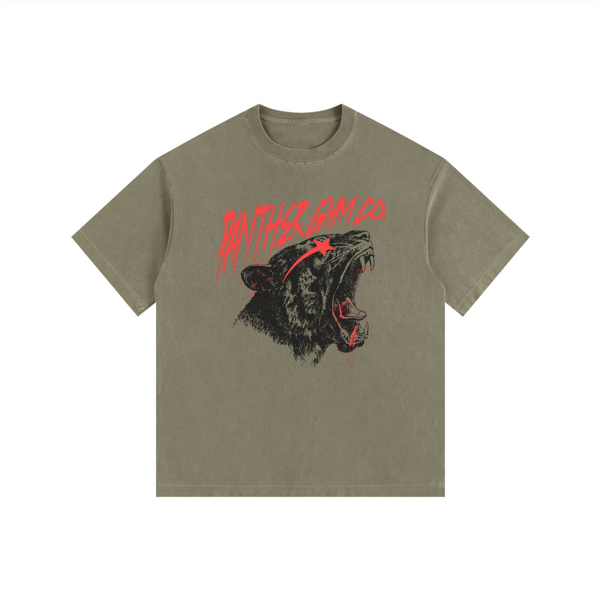 Panther Gym Co